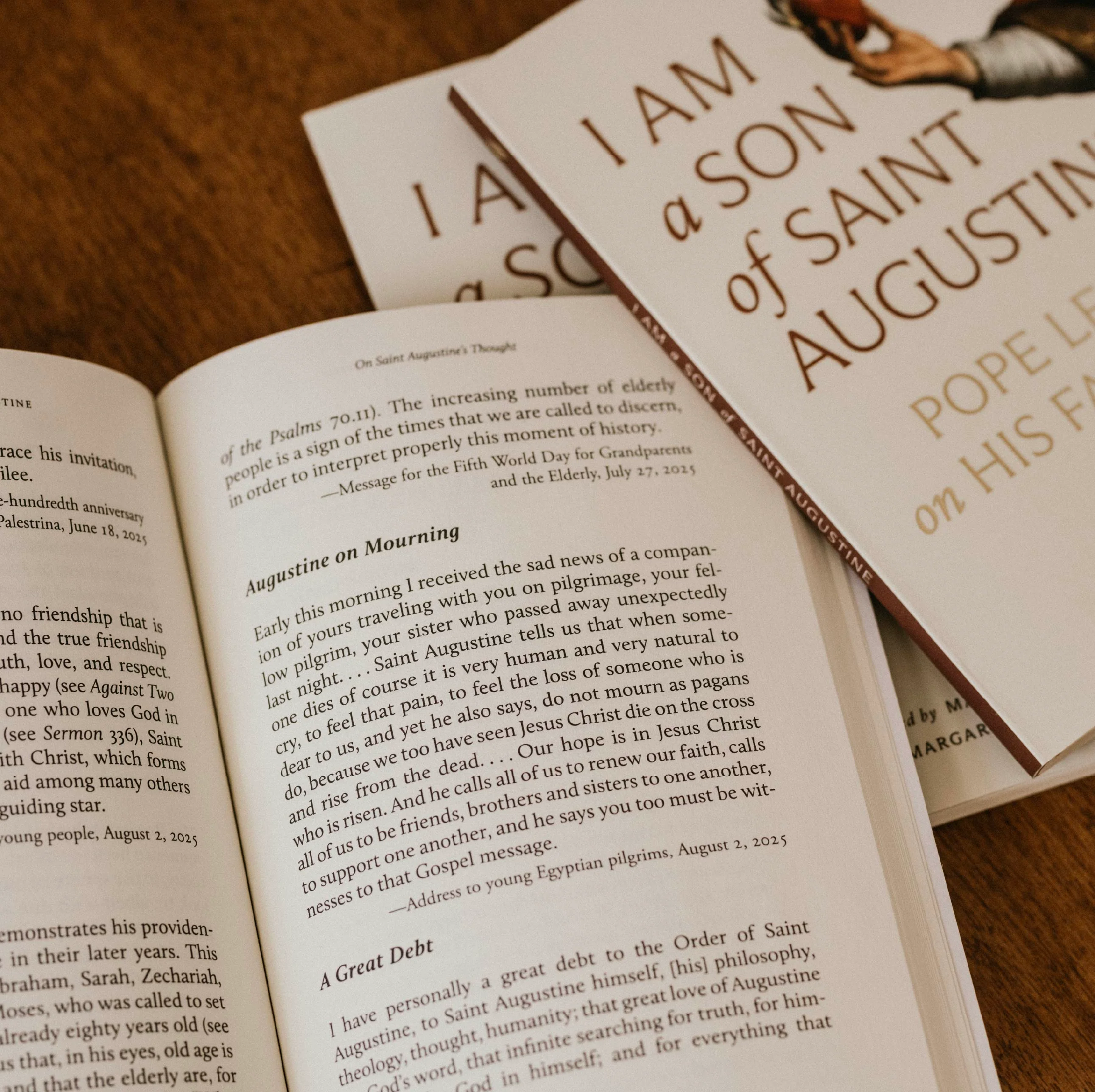 I Am a Son of Saint Augustine - Image 4