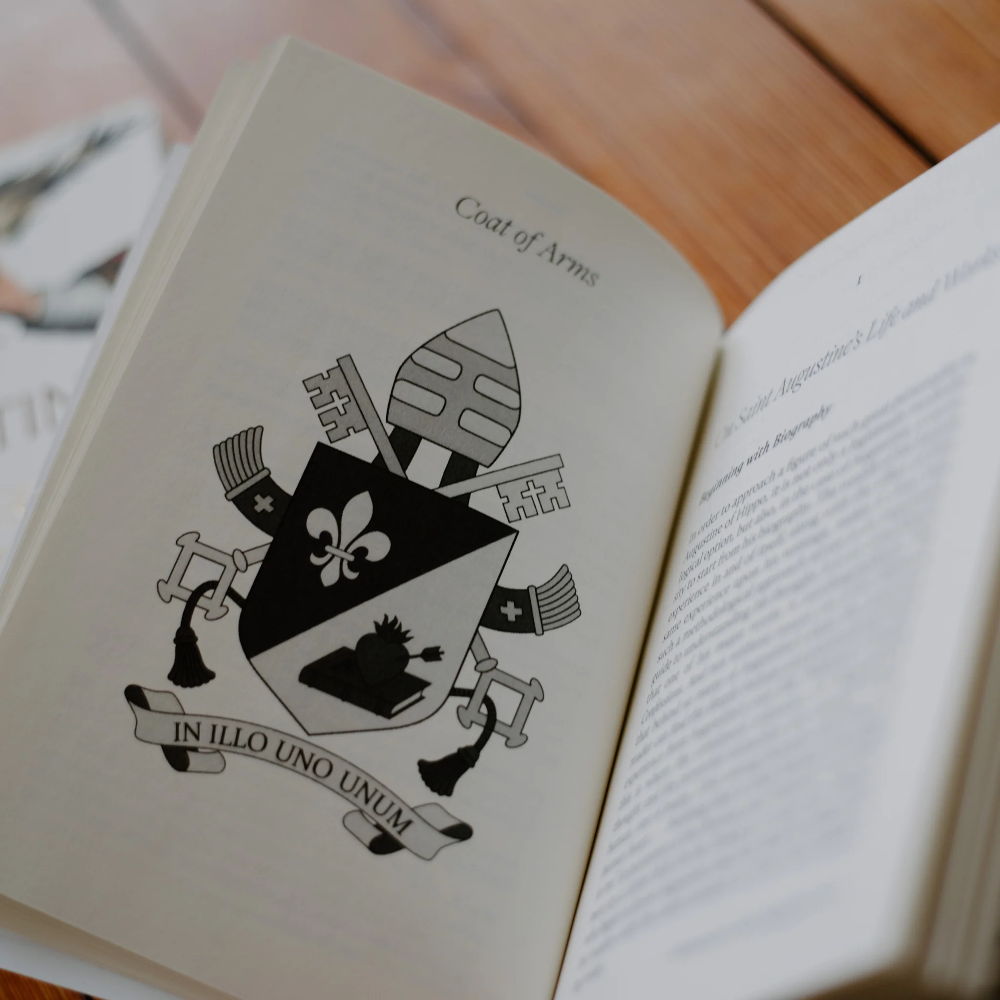 I Am a Son of Saint Augustine - Image 5