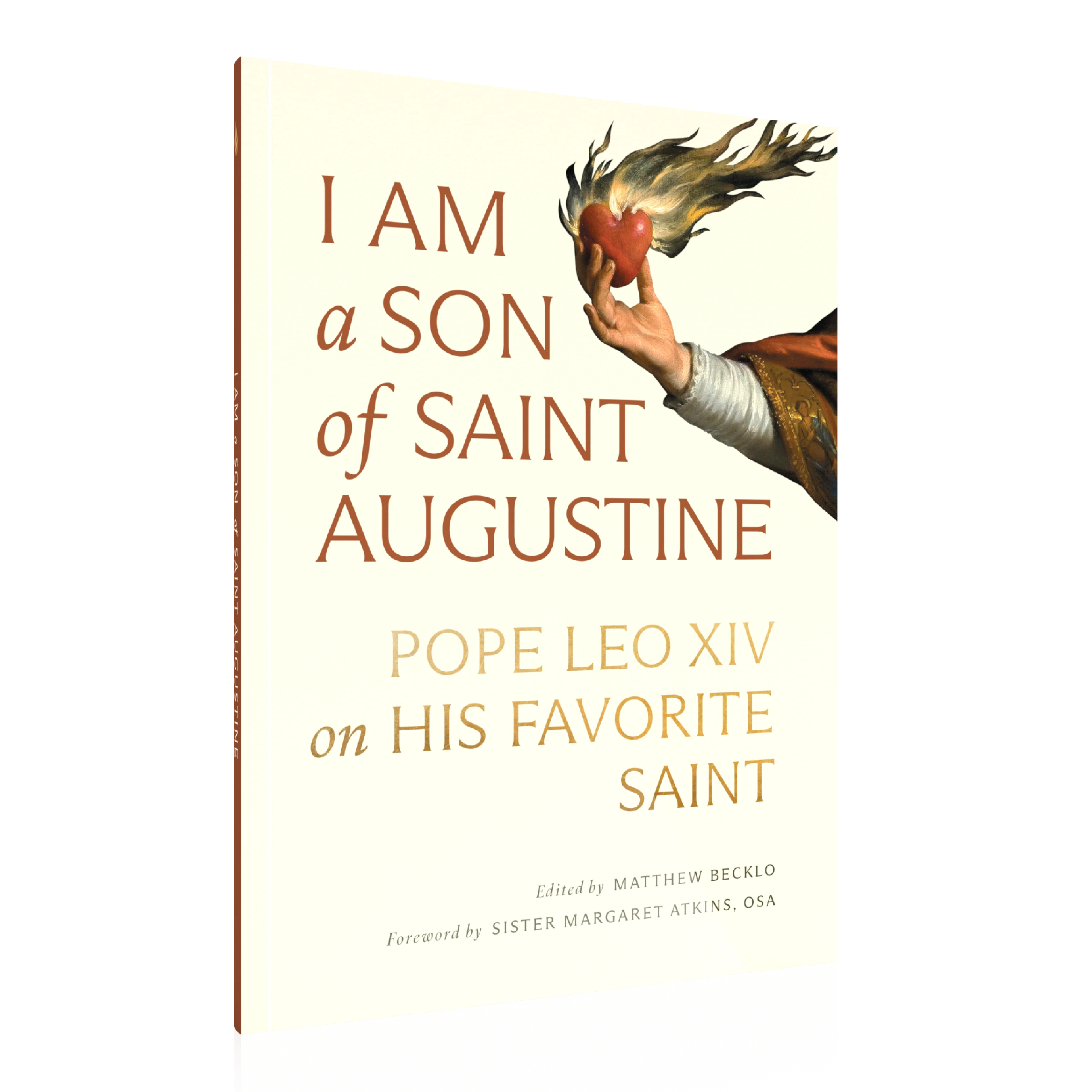 I Am a Son of Saint Augustine - Image 8