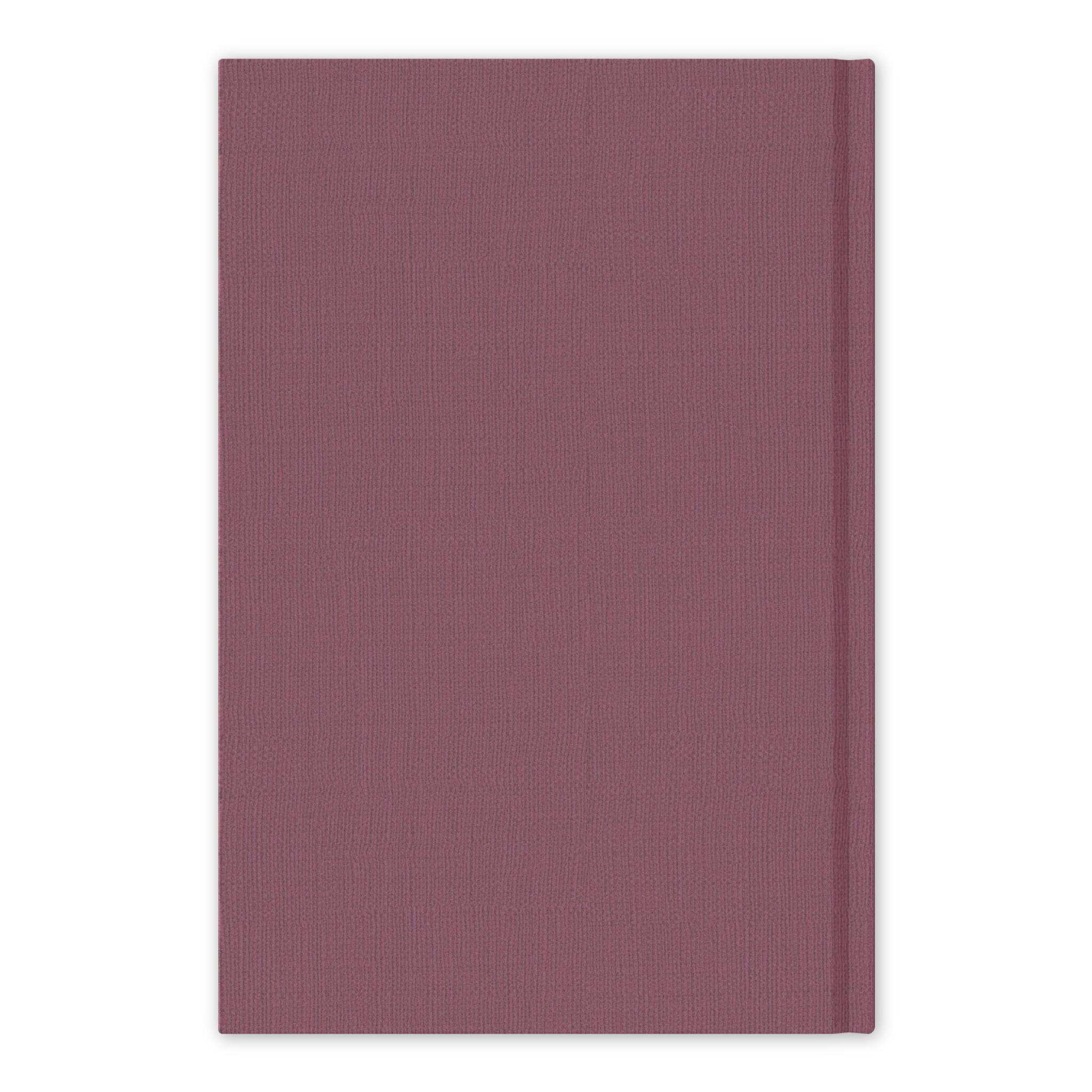 Life of Christ - Image 3