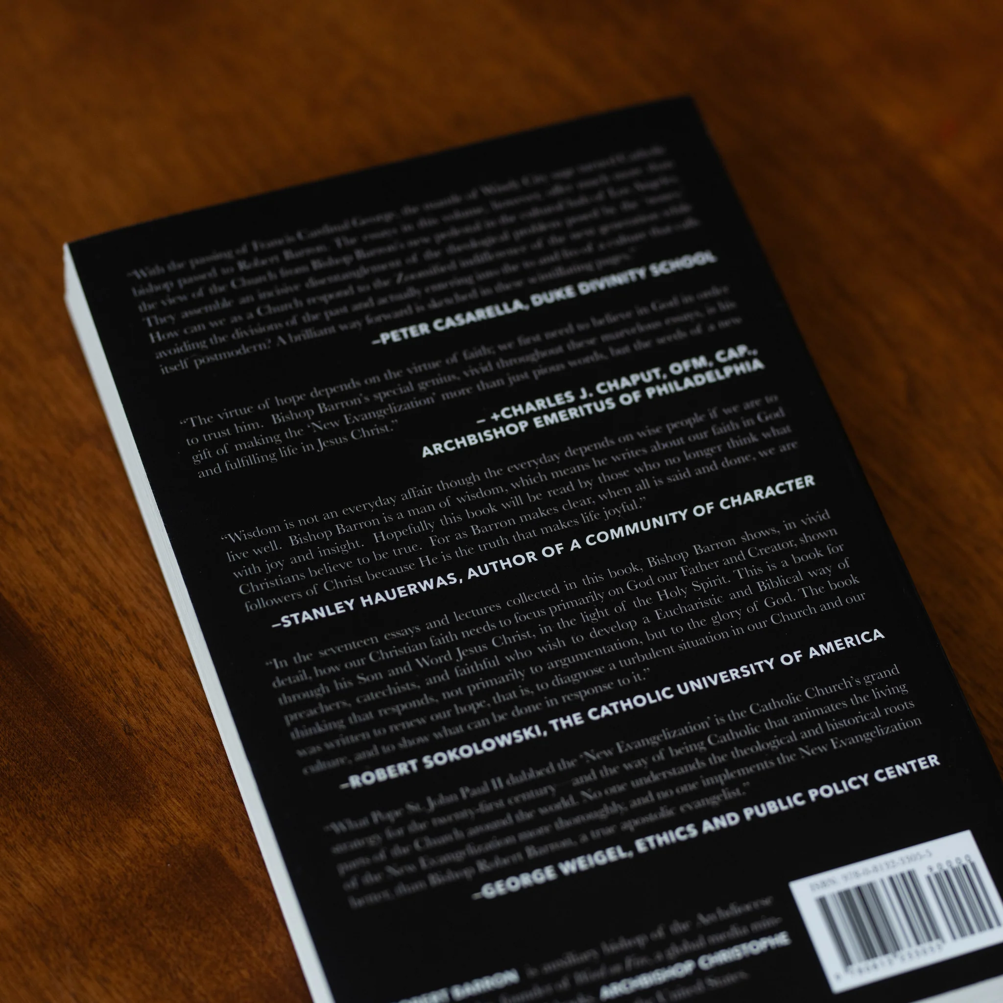 Renewing Our Hope: Essays for the New Evangelization - Image 4