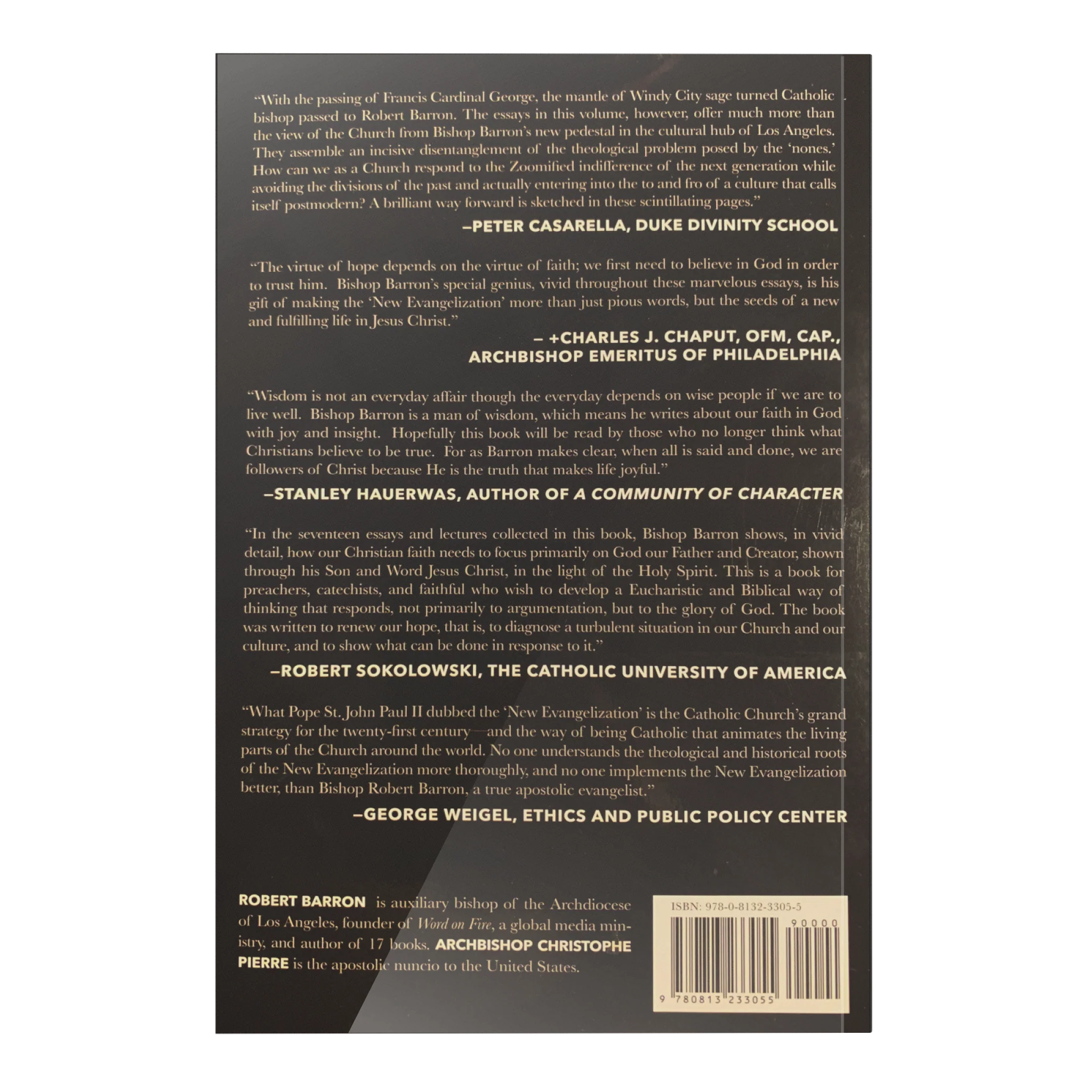 Renewing Our Hope: Essays for the New Evangelization - Image 6