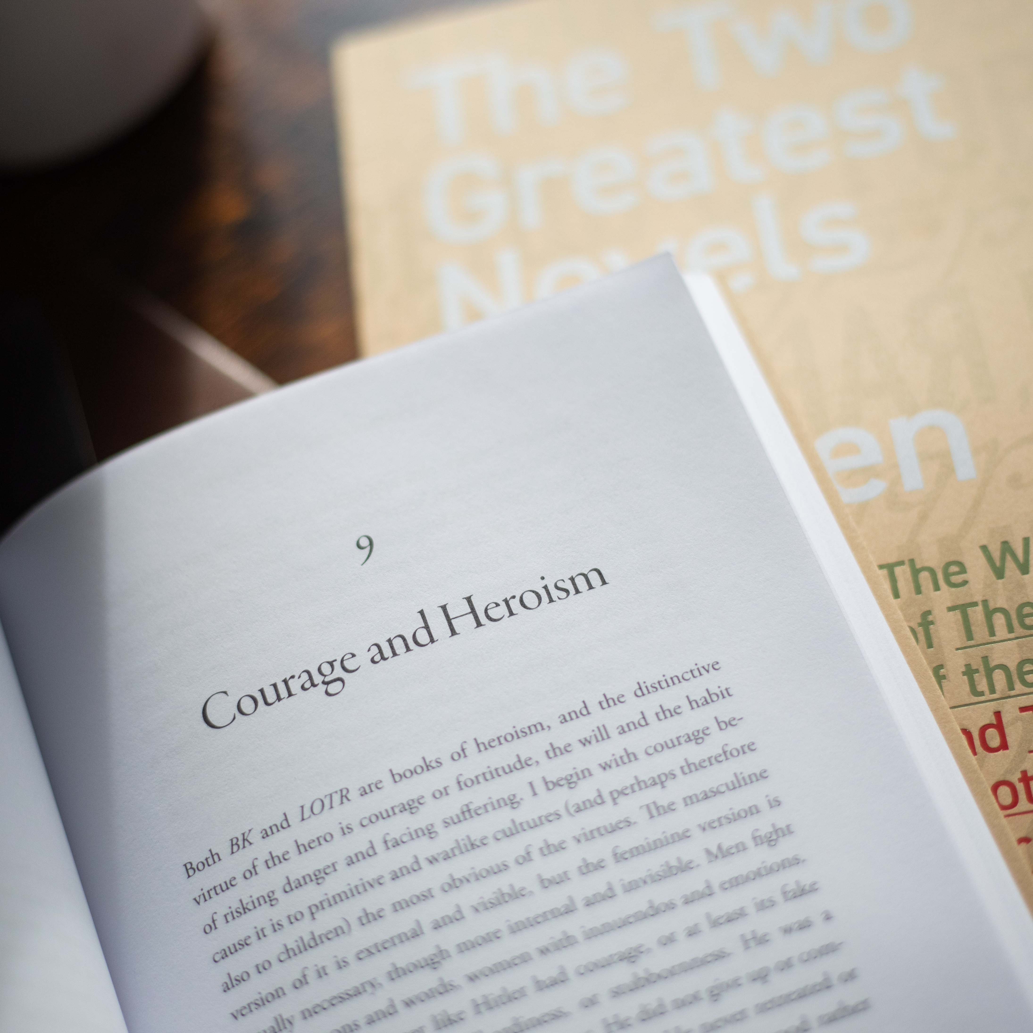 The Two Greatest Novels Ever Written - Image 5