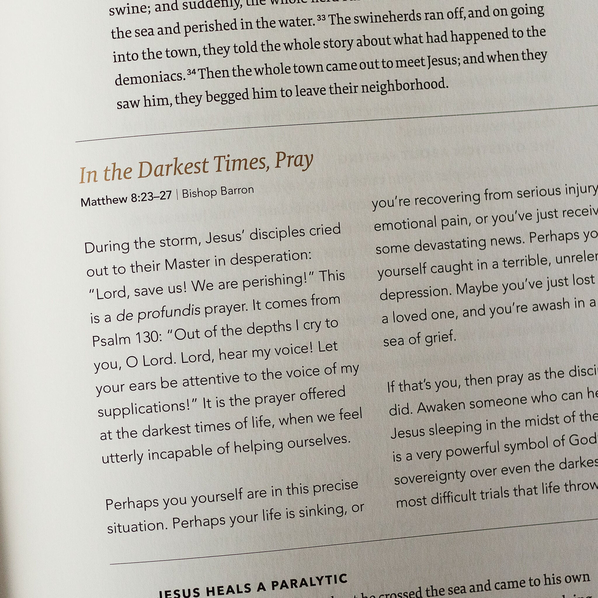 The Word on Fire Bible (Volume I): The Gospels - Image 10