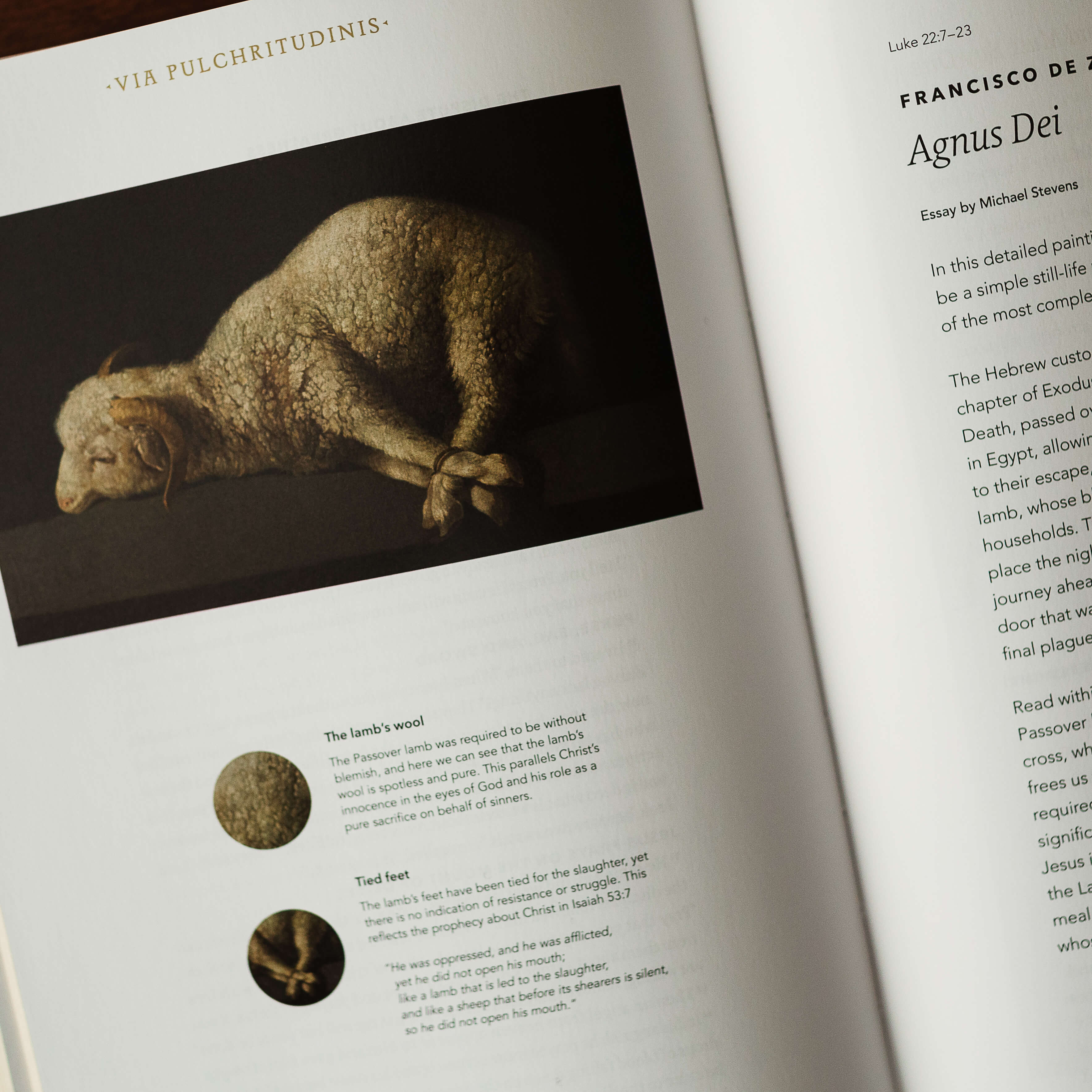 The Word on Fire Bible (Volume I): The Gospels - Image 11