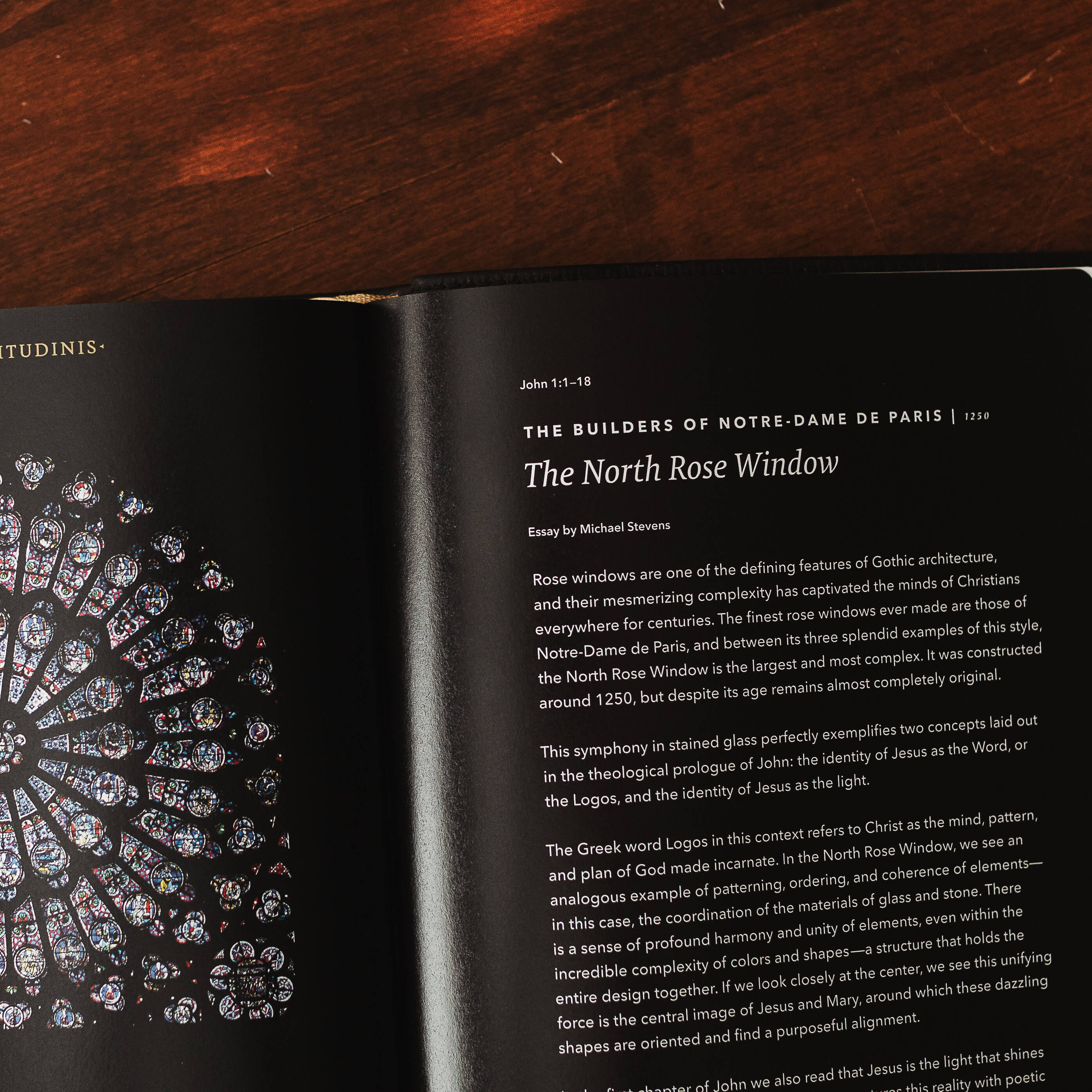 The Word on Fire Bible (Volume I): The Gospels - Image 12