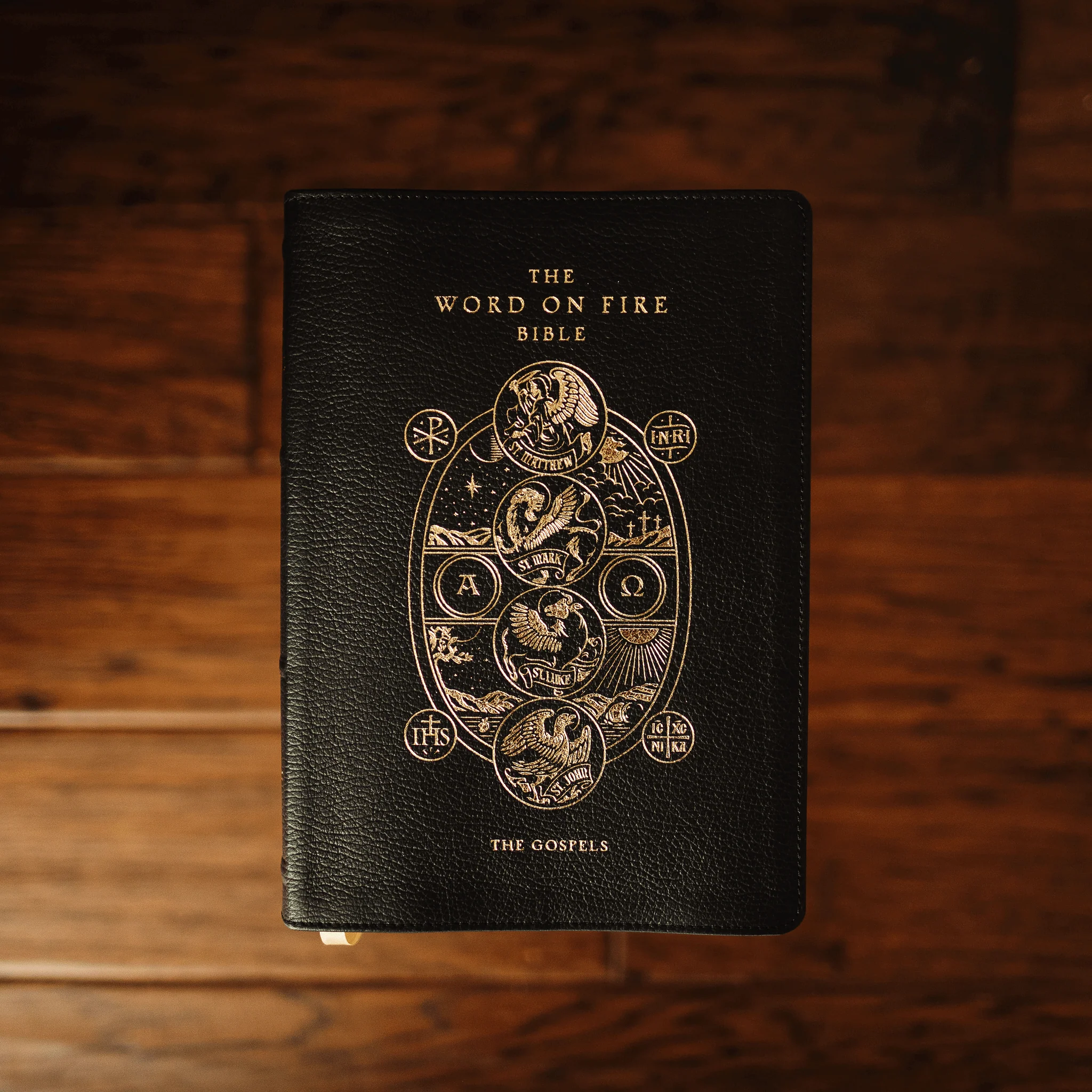 The Word on Fire Bible (Volume I): The Gospels - Image 13