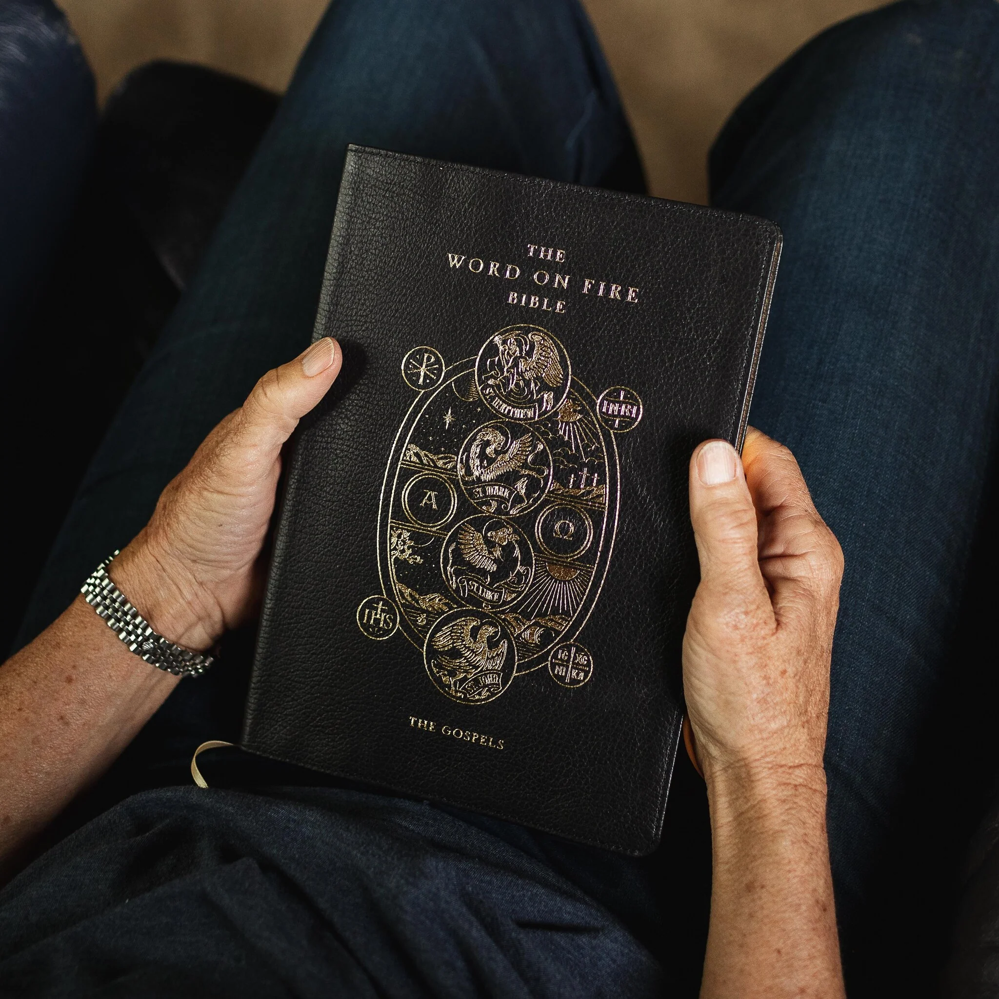 The Word on Fire Bible (Volume I): The Gospels - Image 3