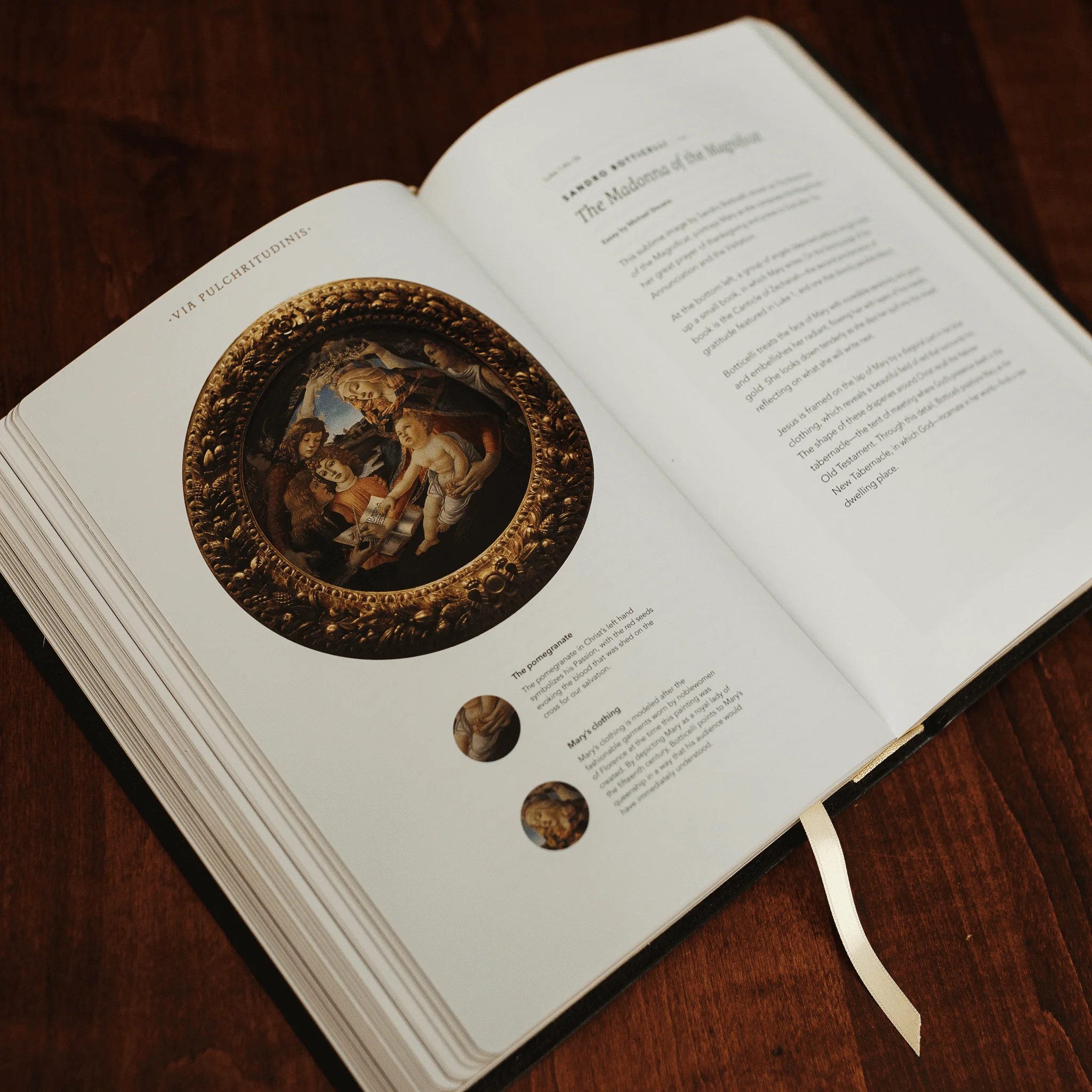 The Word on Fire Bible (Volume I): The Gospels - Image 5