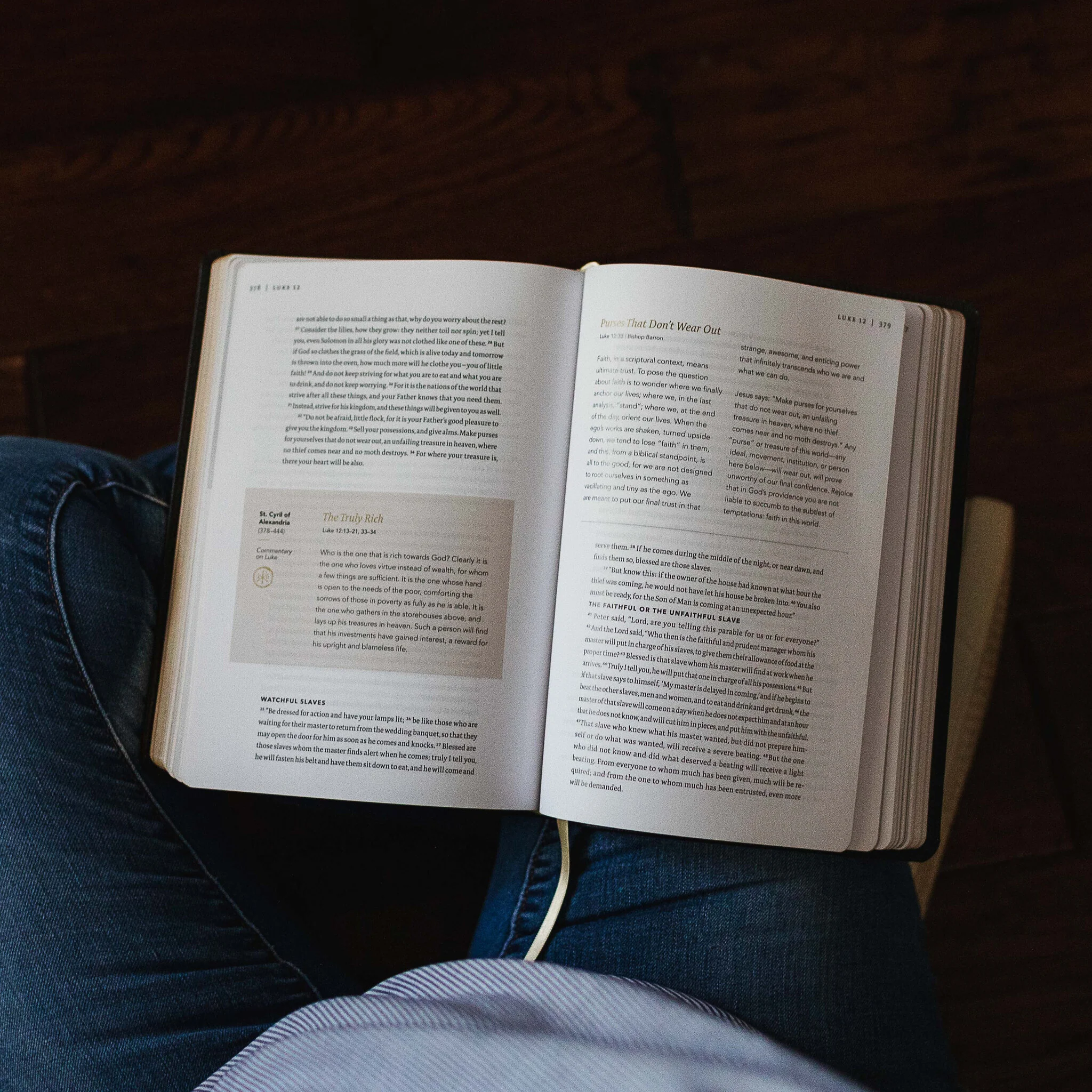 The Word on Fire Bible (Volume I): The Gospels - Image 6