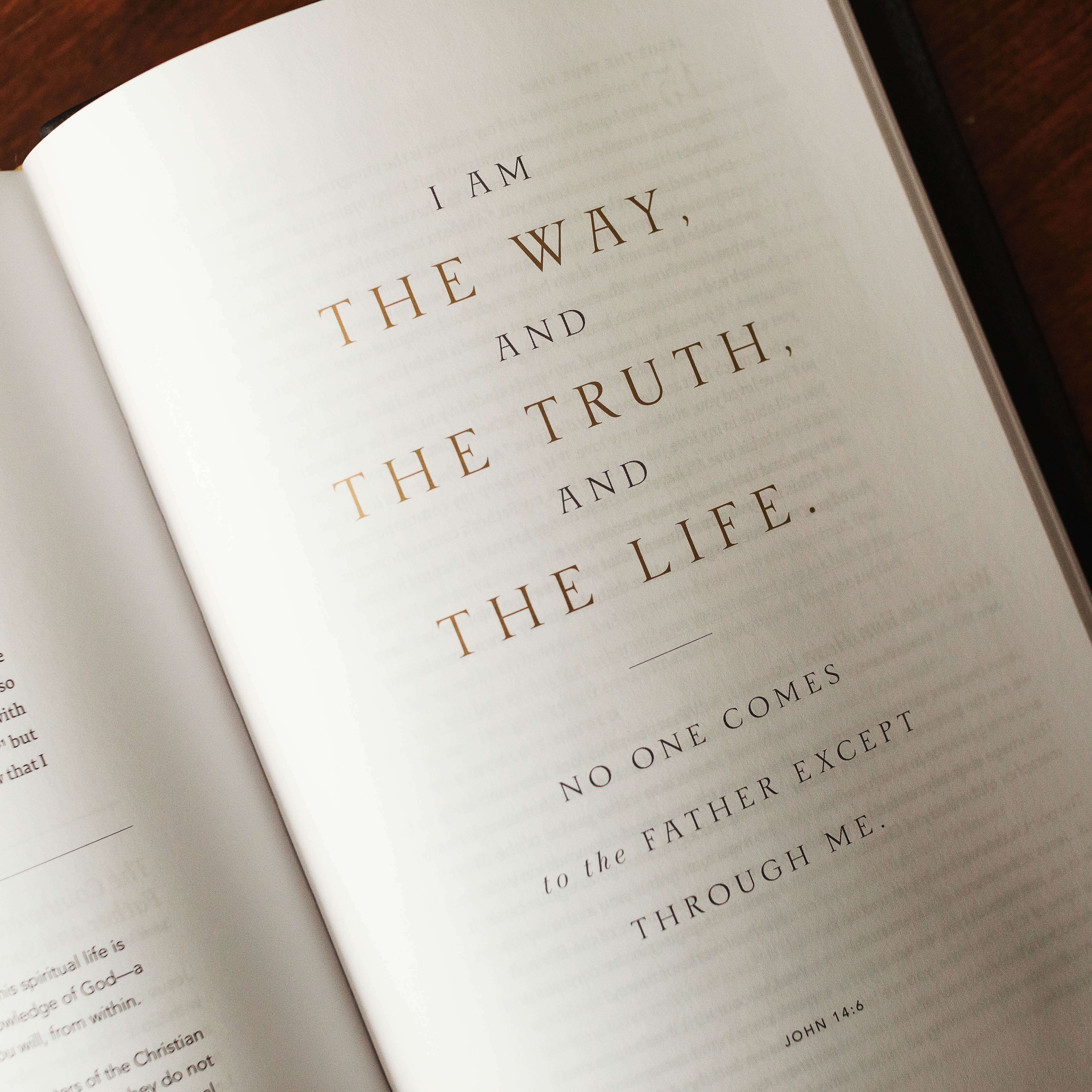 The Word on Fire Bible (Volume I): The Gospels - Image 7